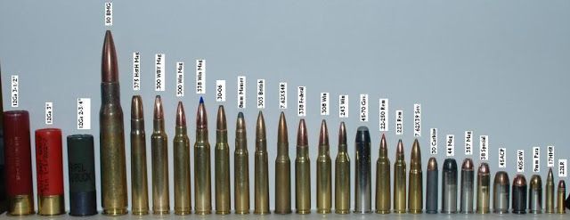 How to Get Your License to Carry (LTC) Online in Arlington, TX: A Step-by-Step Guide